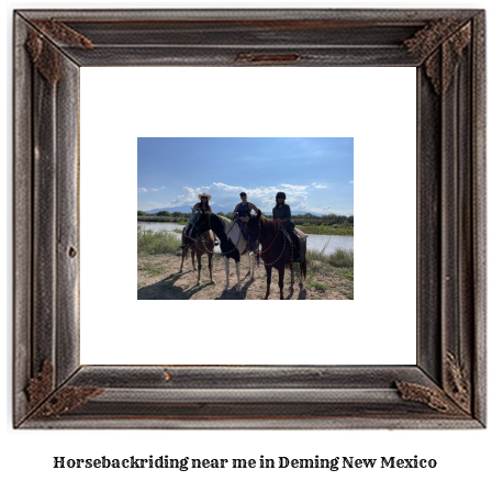 horseback riding near me in Deming, New Mexico